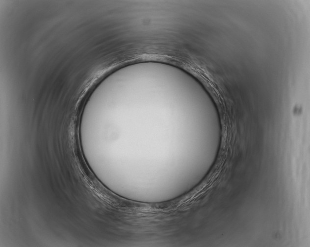 X0000095880098200801110814