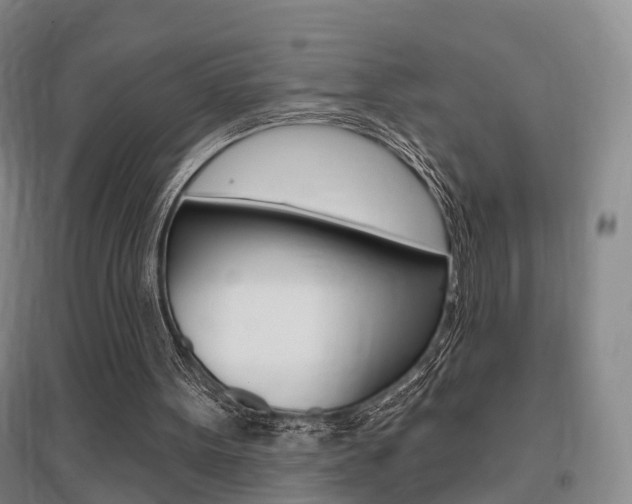 X0000095880099200801110814