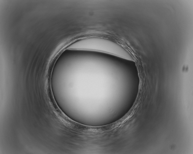 X0000095880101200801110814