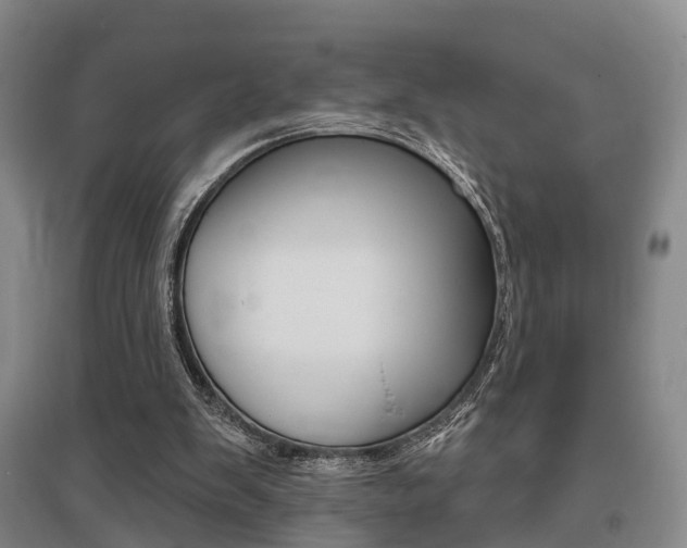 X0000095880103200801110814