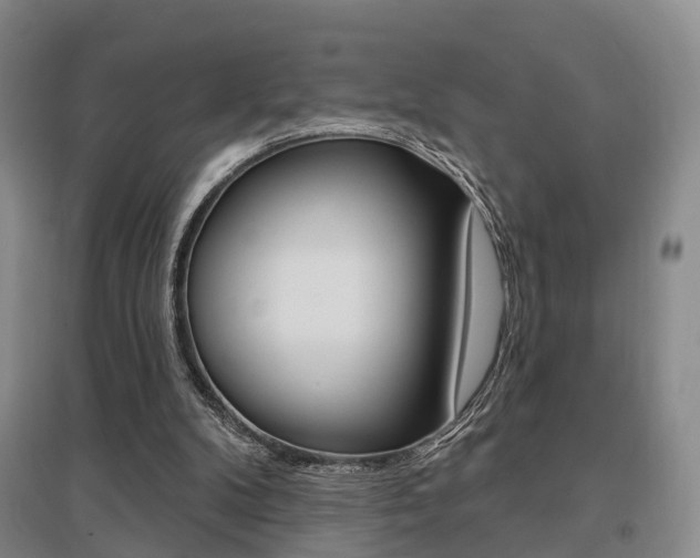 X0000095880104200801110814