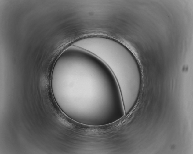 X0000095880105200801110814