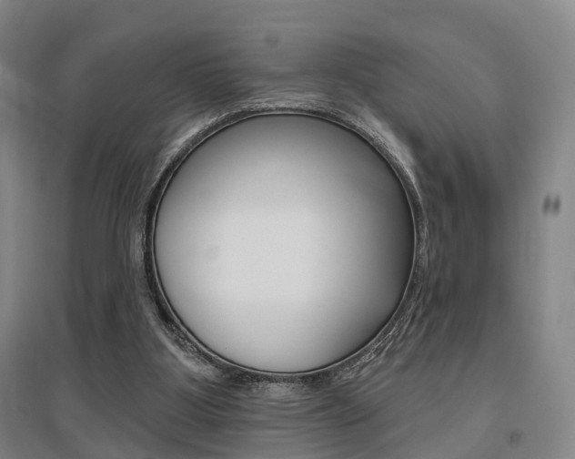 X0000095880107200801110814