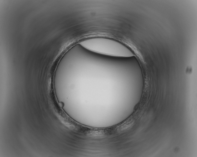 X0000095880110200801110814
