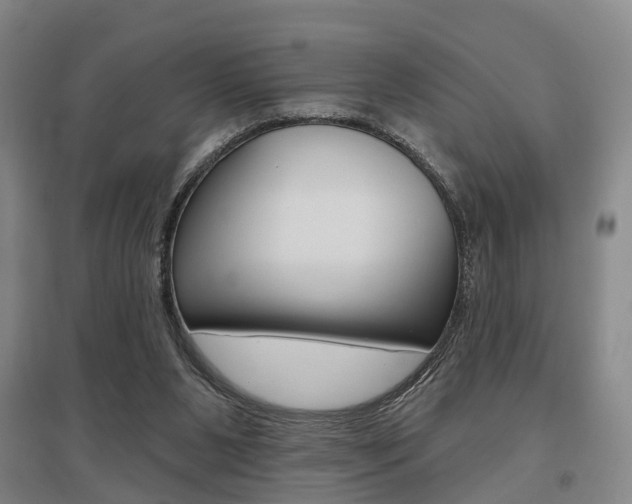 X0000095880111200801110814