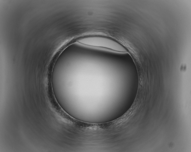 X0000095880112200801110814