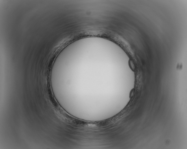X0000095880114200801110814