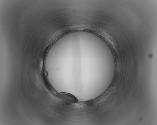 X0000095880118200801110814