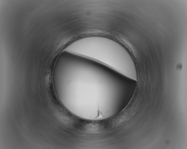 X0000095880119200801110814