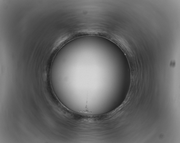 X0000095880120200801110814