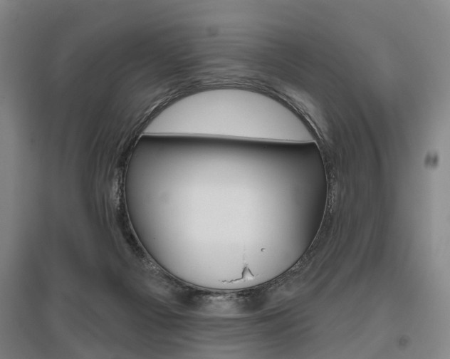 X0000095880121200801110814