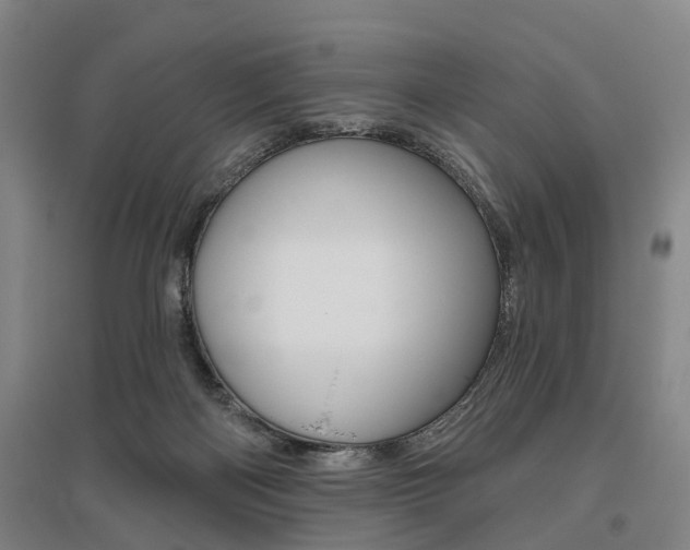 X0000095880122200801110814