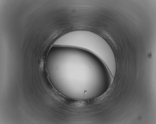 X0000095880124200801110814