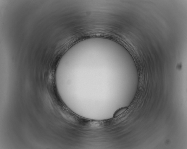 X0000095880126200801110814