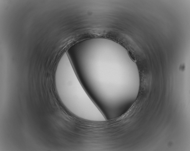 X0000095880128200801110814