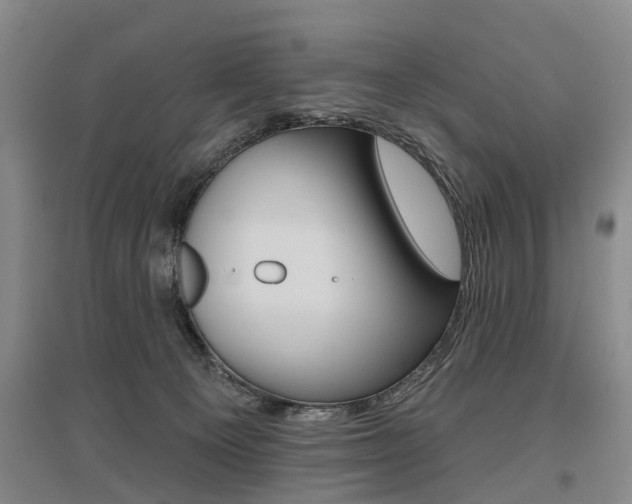 X0000095880129200801110814