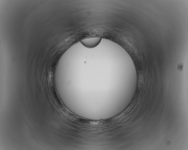 X0000095880130200801110814