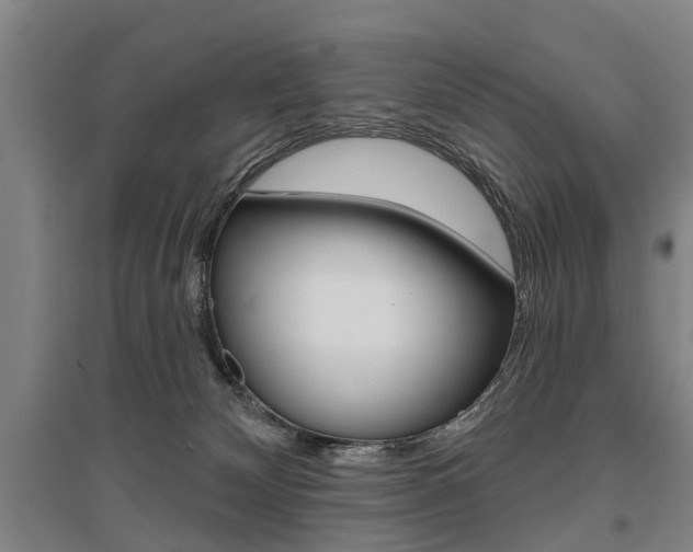 X0000095880132200801110814