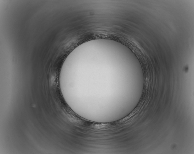 X0000095880134200801110814