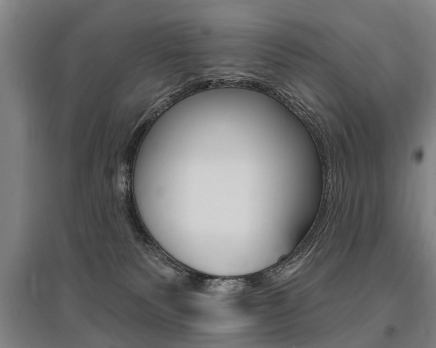 X0000095880135200801110814