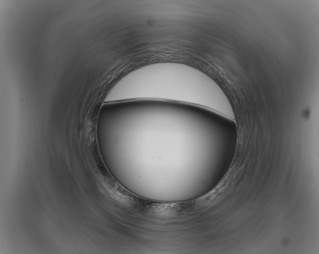 X0000095880136200801110814