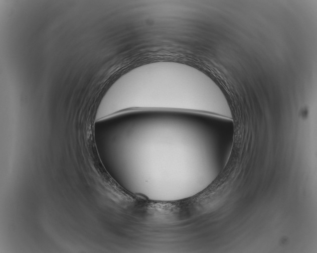 X0000095880137200801110813