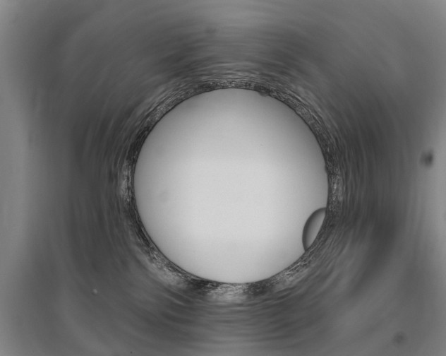 X0000095880138200801110813