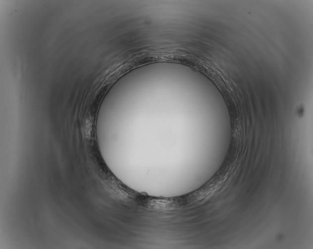 X0000095880139200801110813