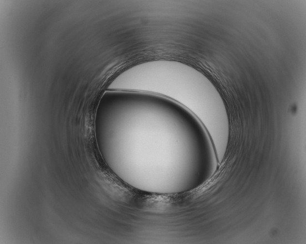 X0000095880140200801110813