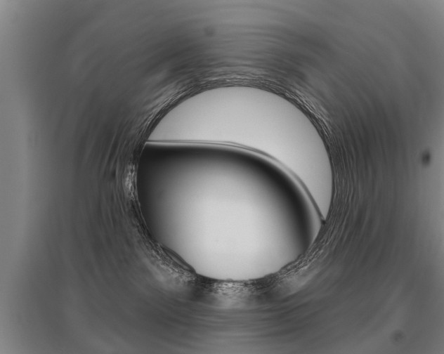 X0000095880141200801110813