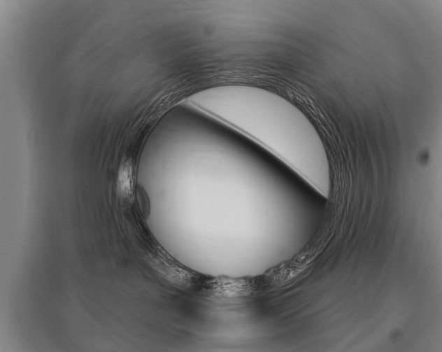 X0000095880143200801110813