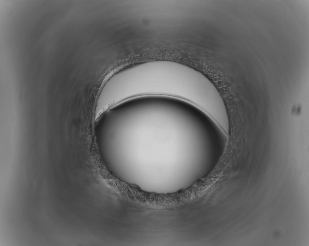 X0000095880144200801110813
