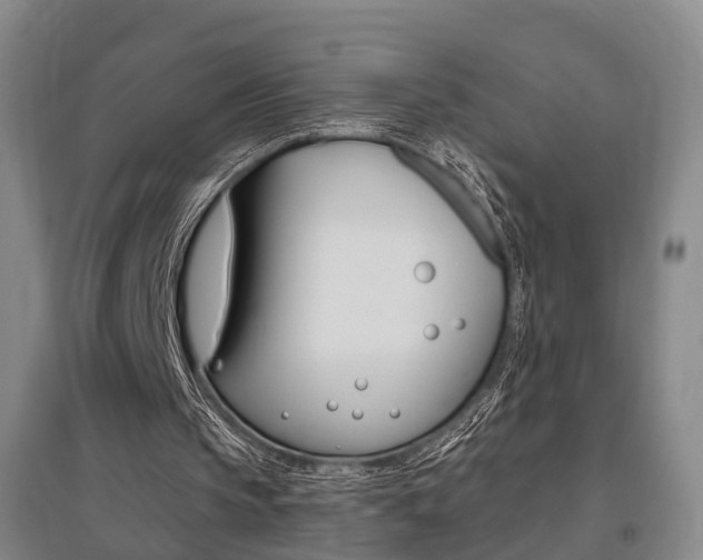 X0000095880145200801110813