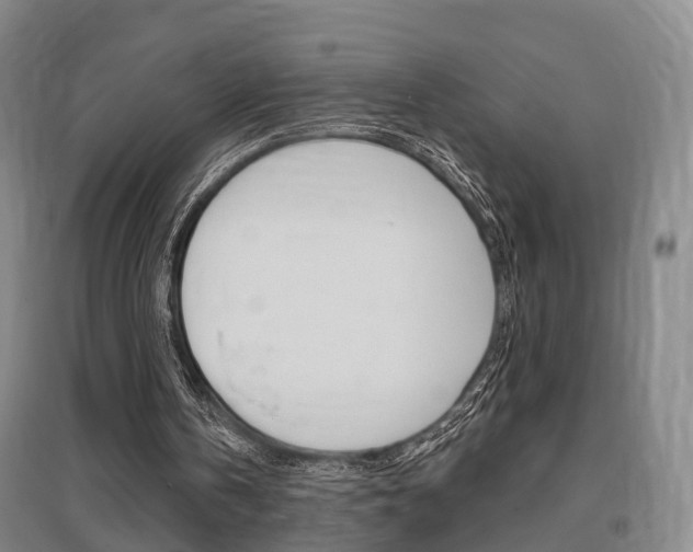 X0000095880146200801110813