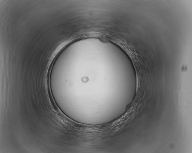 X0000095880147200801110813