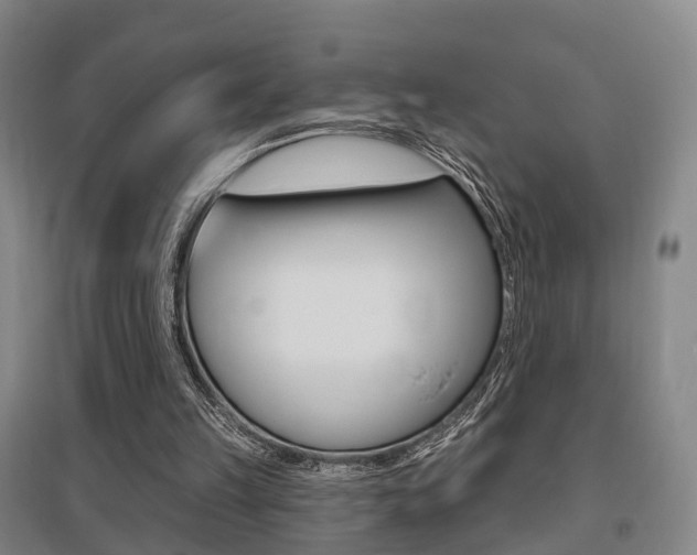 X0000095880149200801110813