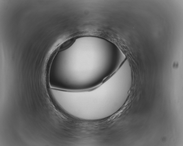 X0000095880150200801110813