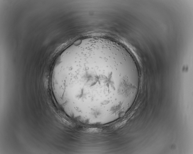 X0000095880153200801110813