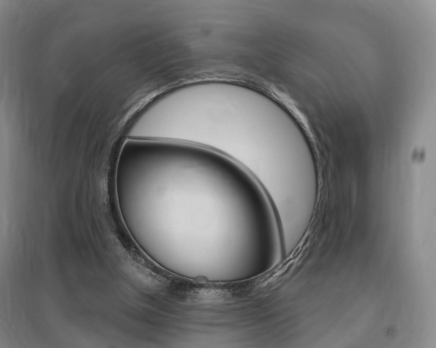 X0000095880154200801110813