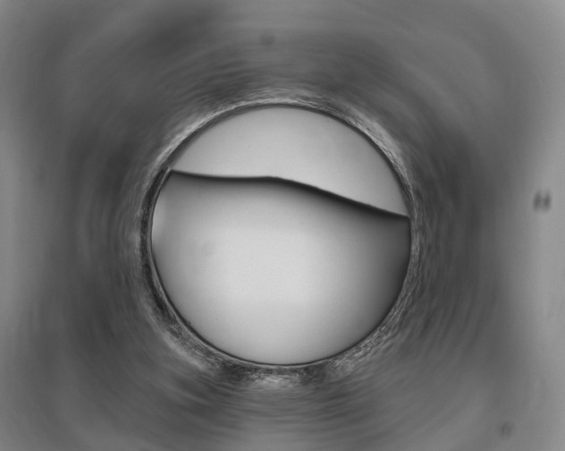 X0000095880155200801110813