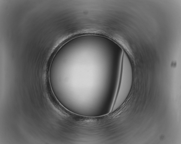 X0000095880156200801110813