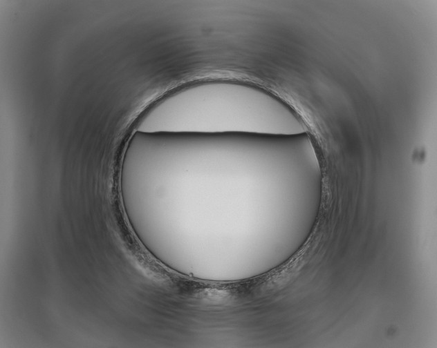 X0000095880159200801110813