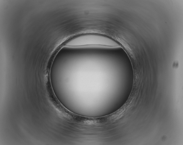X0000095880160200801110813