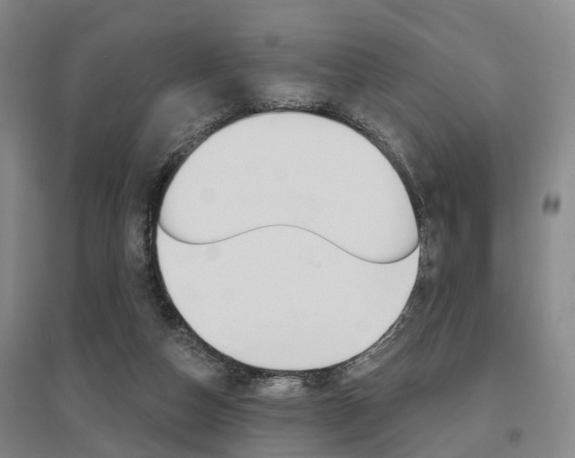 X0000095880162200801110813