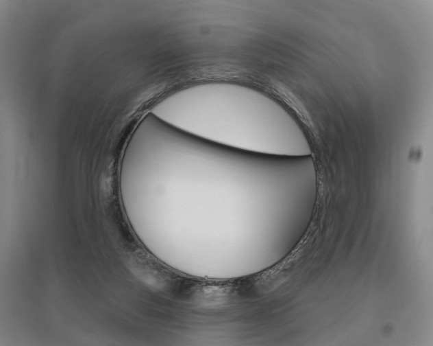 X0000095880163200801110813
