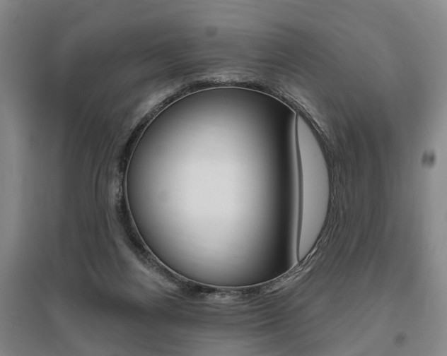 X0000095880164200801110813