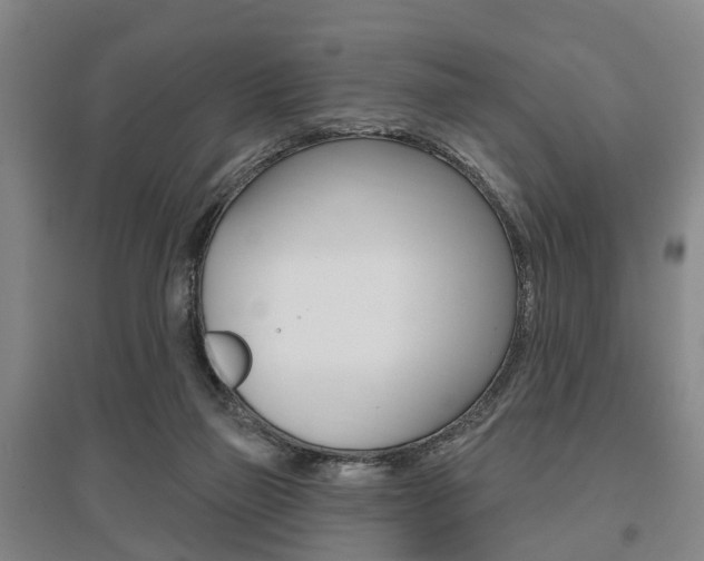 X0000095880165200801110813