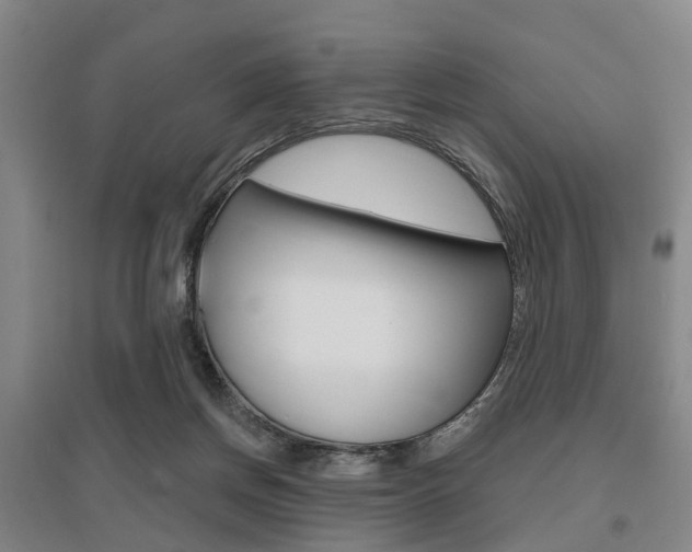 X0000095880166200801110813