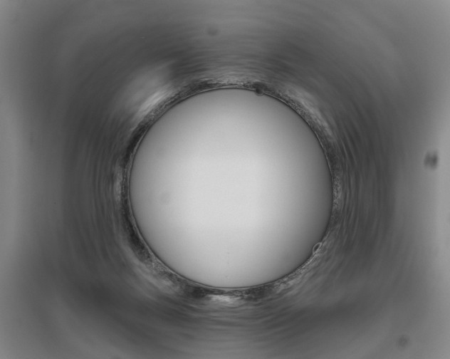 X0000095880167200801110813