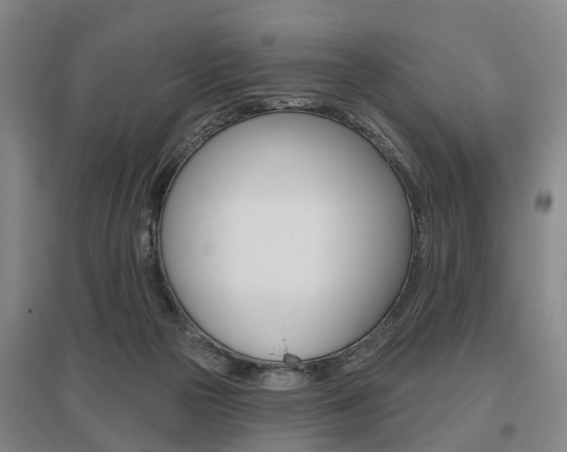 X0000095880169200801110813